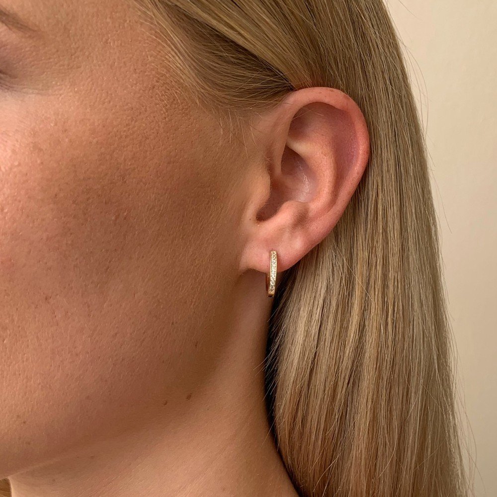Elaine small ring ear g/clear