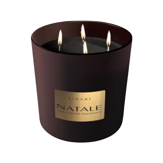LINARI-NATALE Scented Christmas Candle VISIONE 1000